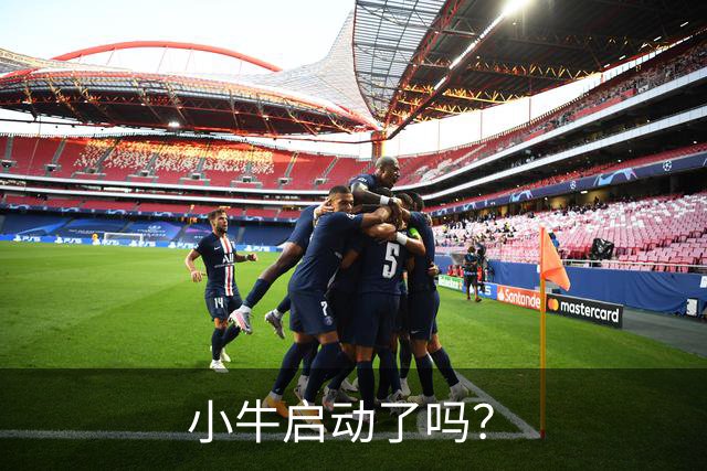小牛启动了吗？